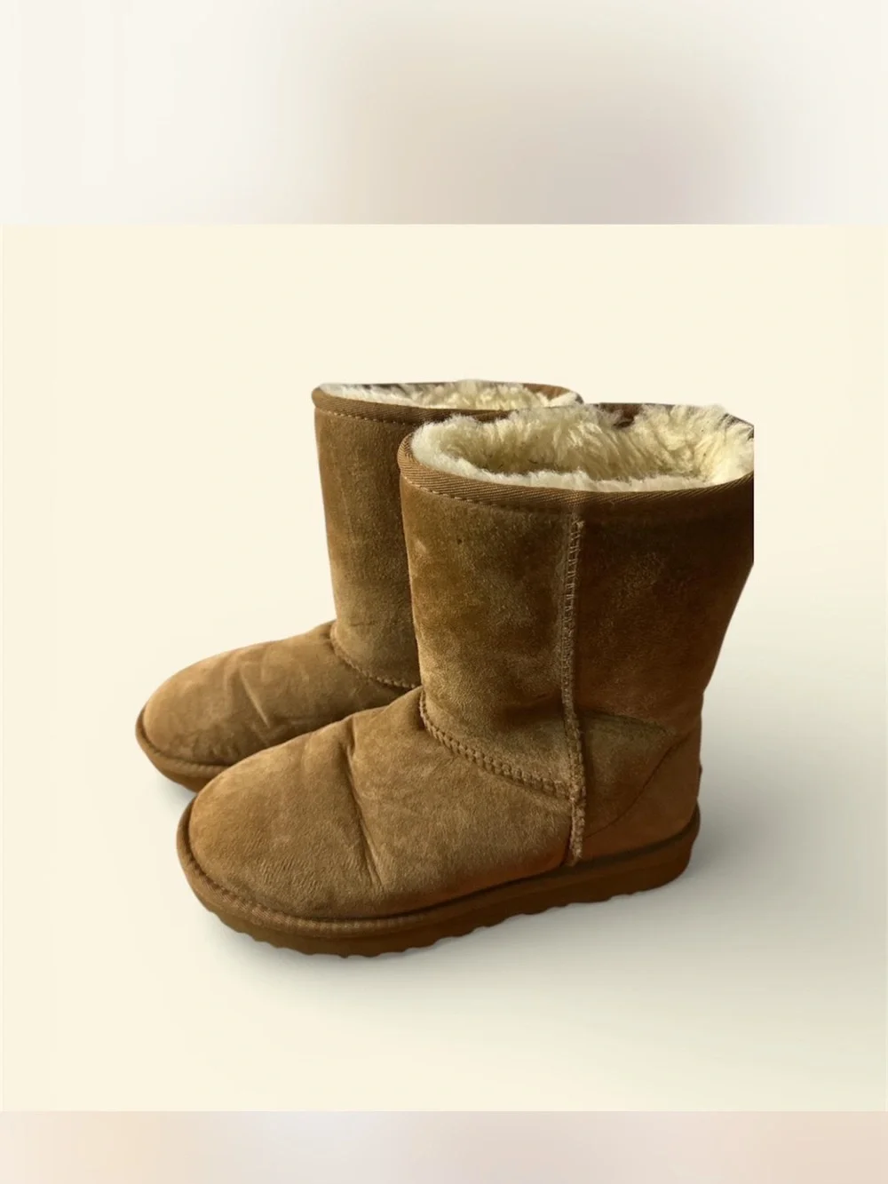 UGGS Plush-Lined Suede Winter Chestnut